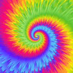 Meet your Posher, Trendy Kids!